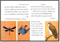 yadesh be kheir